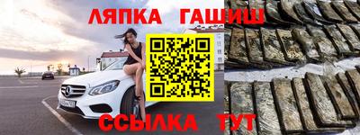 гидра Гай